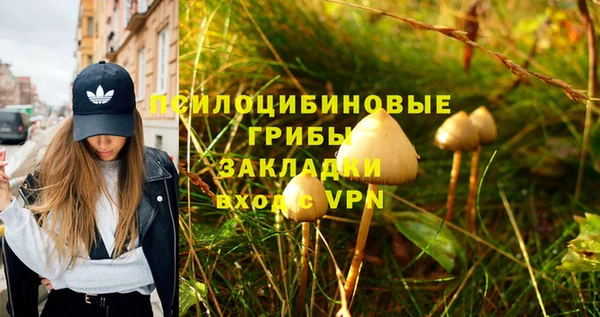 марки nbome Беломорск