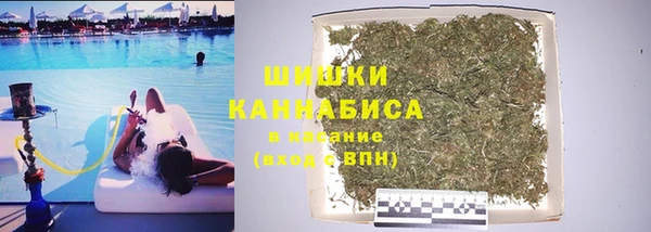 ГАЛЛЮЦИНОГЕННЫЕ ГРИБЫ Арсеньев
