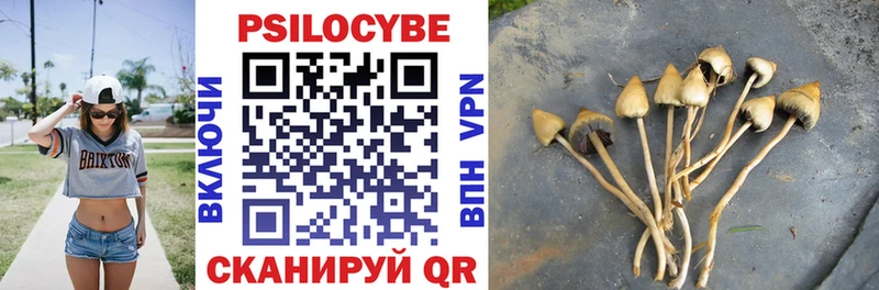 Купить Новый Уренгой Галлюциногенные грибы мухоморы