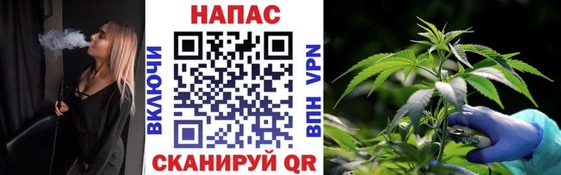 Купить где  Новый Уренгой  МАРИХУАНА сатива 